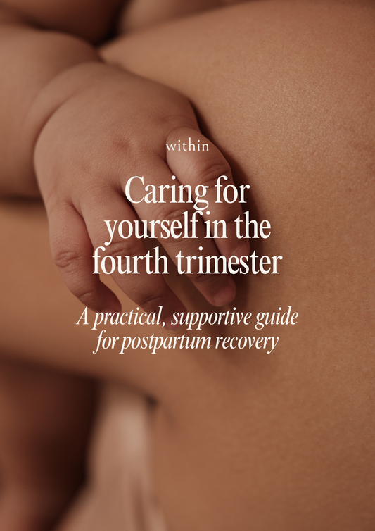 Digital postpartum guide: Caring for yourself in the fourth trimester