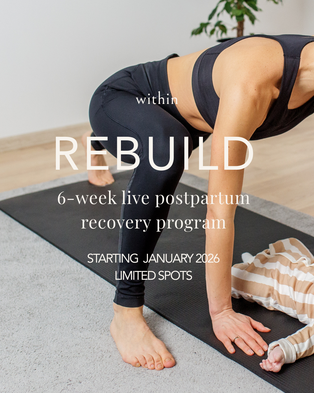 REBUILD: Postpartum recovery program