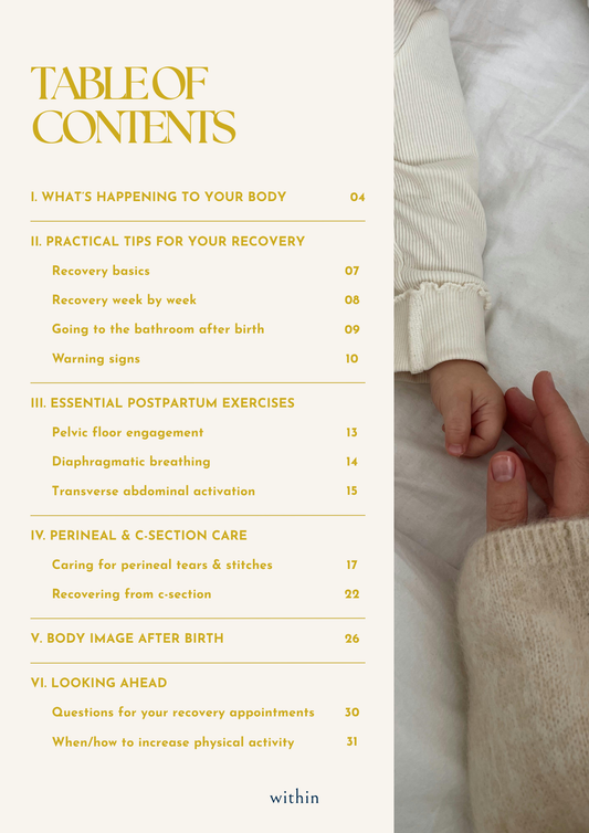 Digital postpartum guide: Caring for yourself in the fourth trimester
